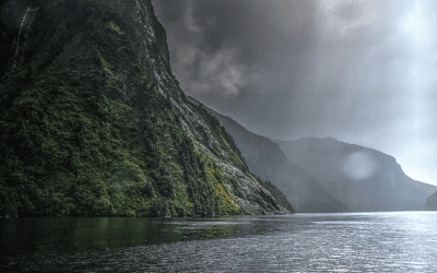 Doubtful Sound Weekender Special!