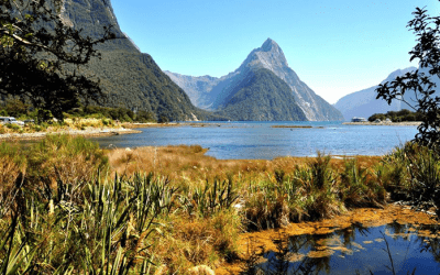 4 Night Fiordland Once in a Lifetime Experience
