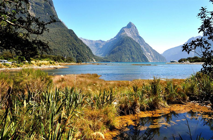 4 Night Fiordland Once in a Lifetime Experience