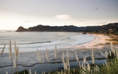 Great Barrier Island