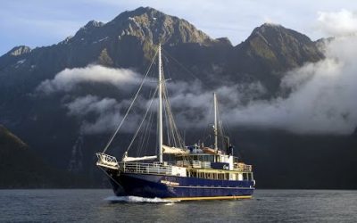 Doubtful Sound & New Year’s Eve in Queenstown