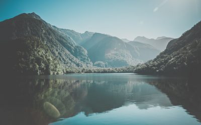 Relax and Unwind Cruising Fiordland National Park