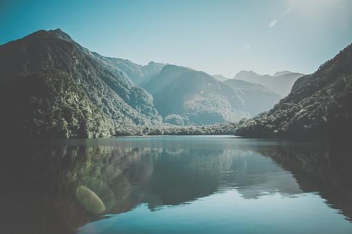 Relax and Unwind Cruising Fiordland National Park